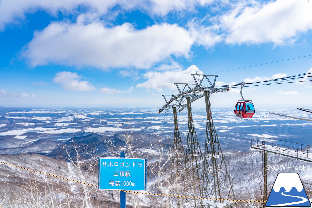 十勝サホロリゾート｜道東の粉雪はレベルが違う☆抵抗感皆無のさらさらパウダースノーへ滑り込め！(*^^*)